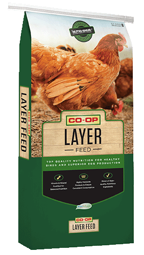 Co-op 22% Layer Mini-Pellet