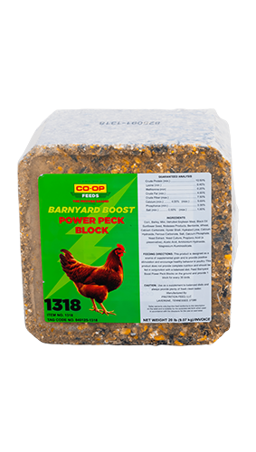 Co-op Barnyard Boost Power Peck Block 