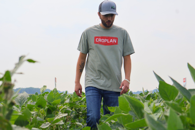 agronomy overview