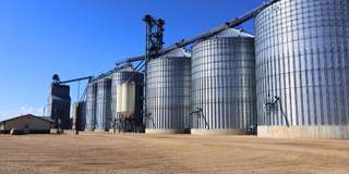 Garden City - Grain