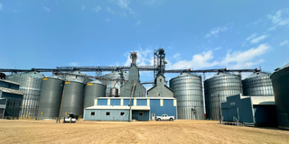 Wallace - Grain