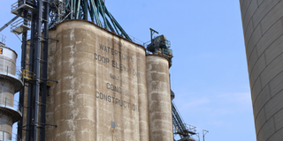 Watertown - Grain