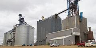 Webster - Grain